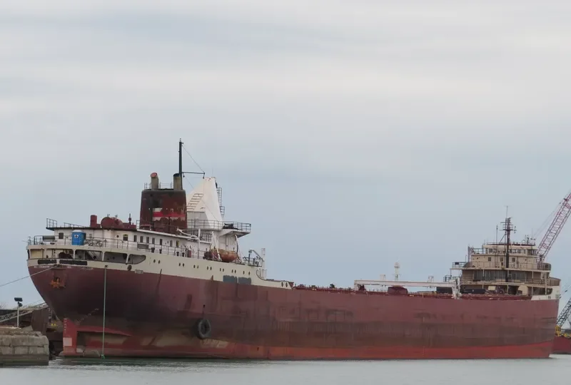 AMERICAN FORTITUDE Bulk Carrier IMO 5105843