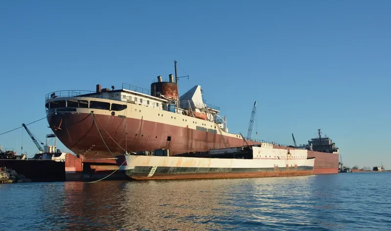 AMERICAN FORTITUDE Bulk Carrier IMO 5105843 photo 4