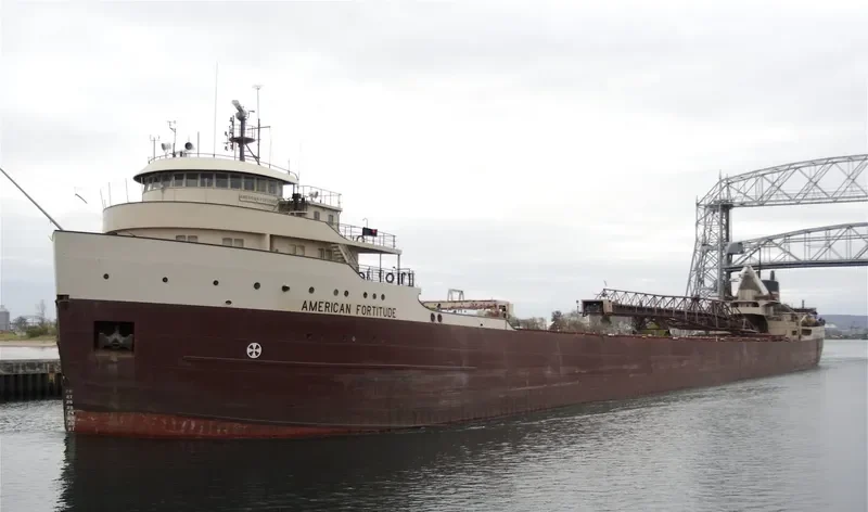 AMERICAN FORTITUDE Bulk Carrier IMO 5105843 photo 7