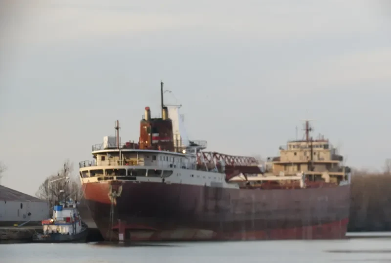 AMERICAN FORTITUDE Bulk Carrier IMO 5105843 photo 8