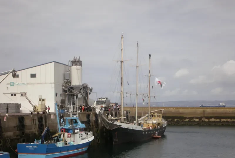 ESTELLE General Cargo IMO 5108883