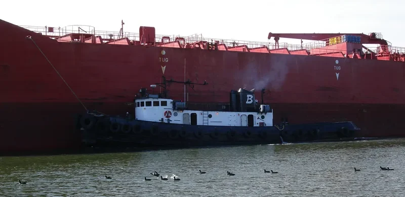 ANGIE M.BRUSCO General Cargo IMO 5111359 photo 3