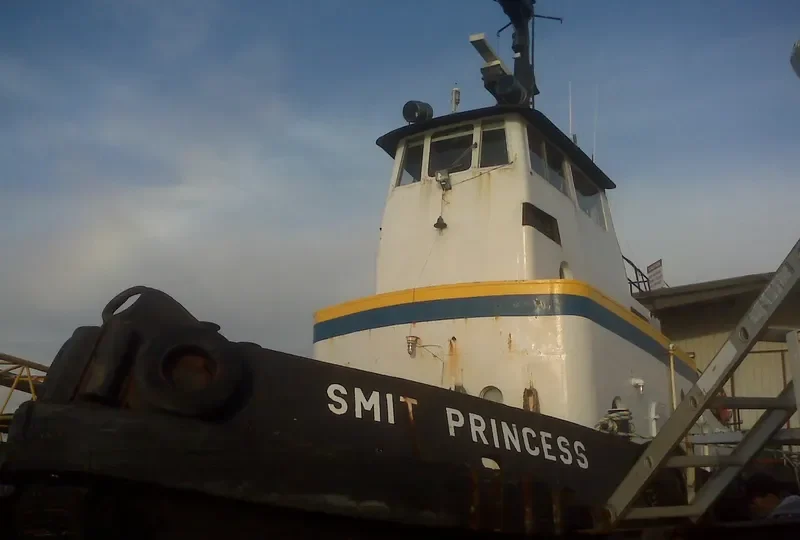 RIVER PRINCESS General Cargo IMO 5113163 photo 2