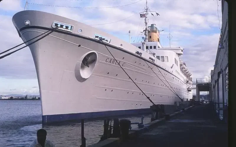 PALLAS ATHENA Passenger Ship IMO 5116098 photo 2