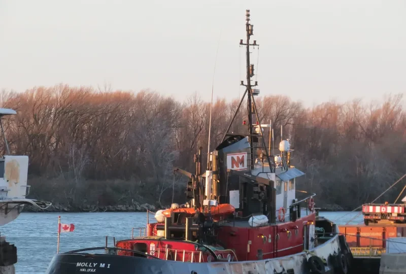 MOLLY M I General Cargo IMO 5118838