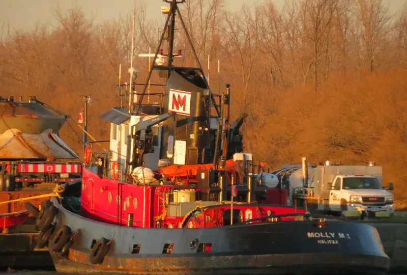 MOLLY M I General Cargo IMO 5118838 photo 2