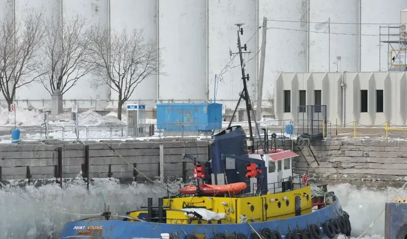 POINT VIKING General Cargo IMO 5118840
