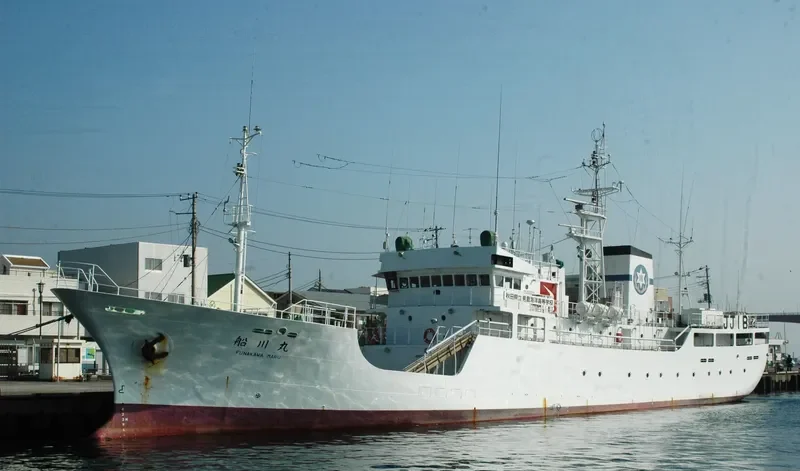 FUNAKAWA MARU Fishing Vessel IMO 5124150 photo 5