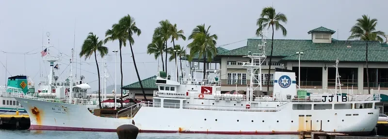 FUNAKAWA MARU Fishing Vessel IMO 5124150 photo 9