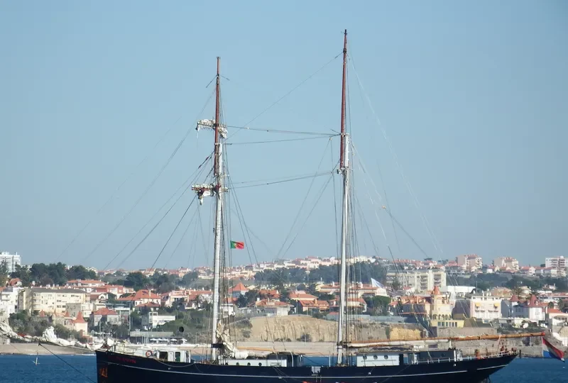 WYLDE SWAN General Cargo IMO 5126718