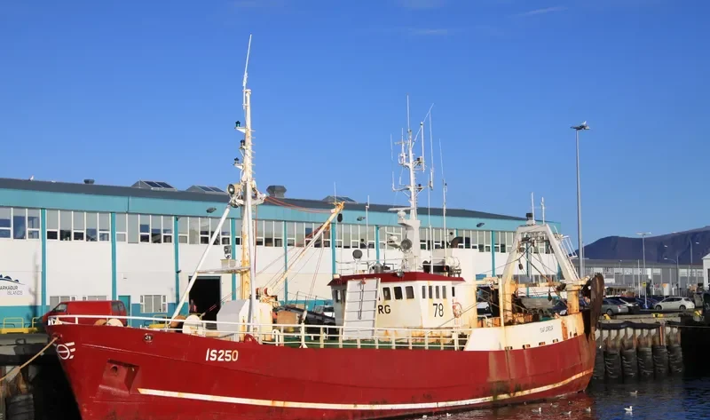 ISBORG General Cargo IMO 5139650 photo 5