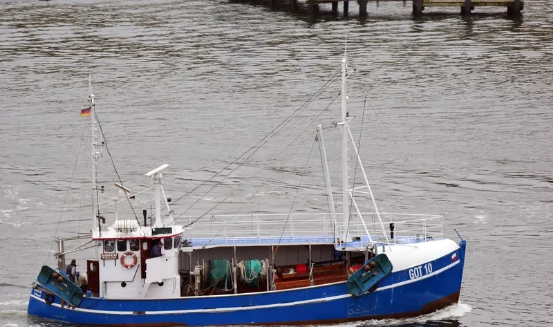 HANSEAT General Cargo IMO 5142308 photo 8