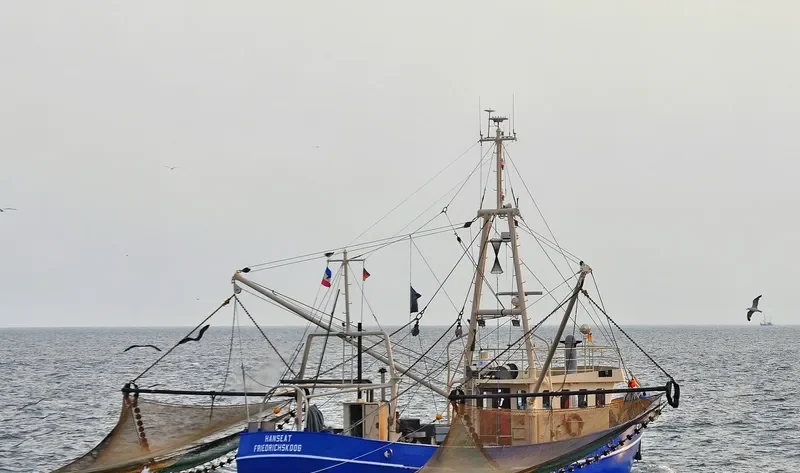 HANSEAT General Cargo IMO 5142308 photo 10