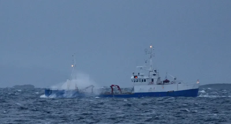 BOTRANS General Cargo IMO 5142853