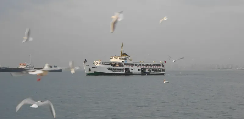 GOLCUK Passenger Ship IMO 5143663 photo 2