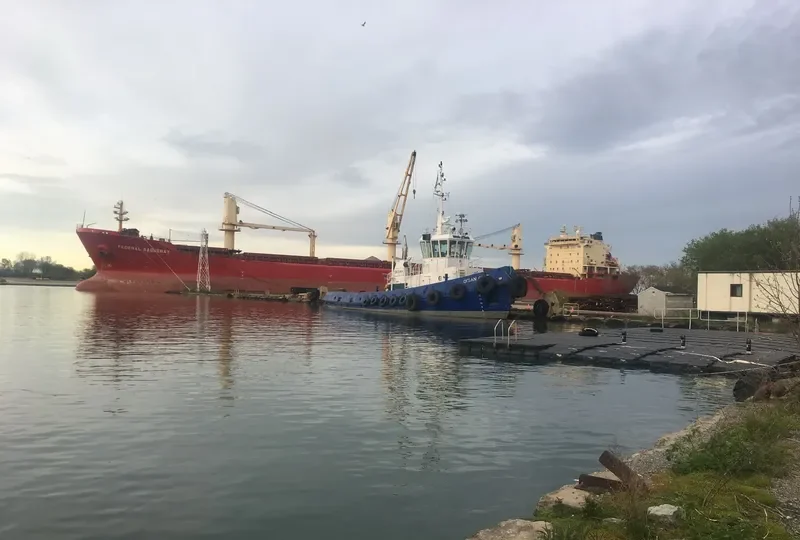 OCEAN GOLF General Cargo IMO 5146354