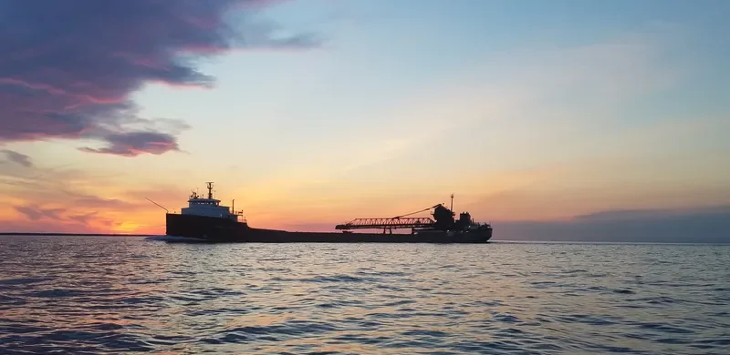 HERBERT C.JACKSON Bulk Carrier IMO 5148417 photo 5