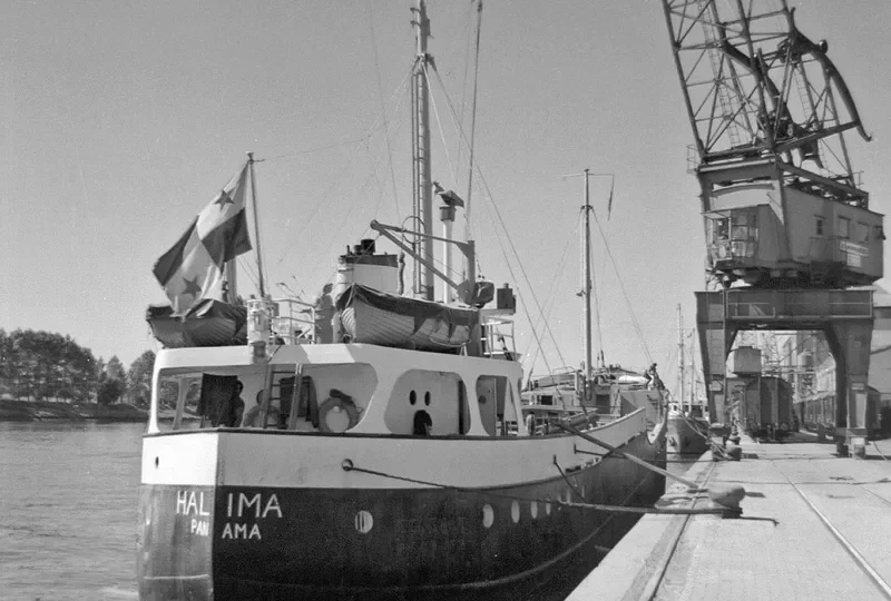 MASSIMO FRANCESCO General Cargo IMO 5169631