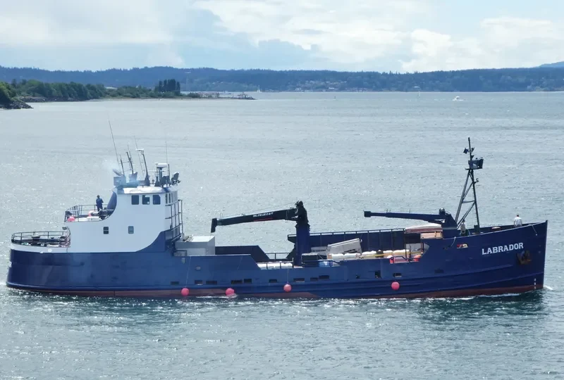 LABRADOR General Cargo IMO 5201362 photo 2