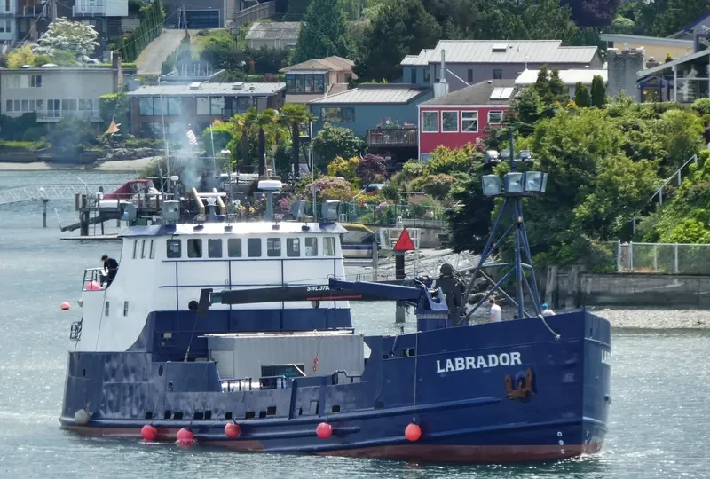 LABRADOR General Cargo IMO 5201362 photo 3