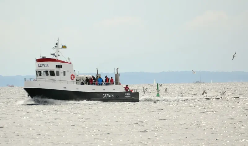 LINDA Passenger Ship IMO 5208736