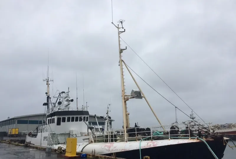 POLARSTJORNAN General Cargo IMO 5217191