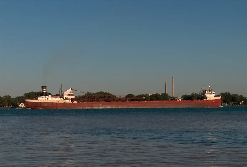 AMERICAN VICTORY Bulk Carrier IMO 5234395 photo 7
