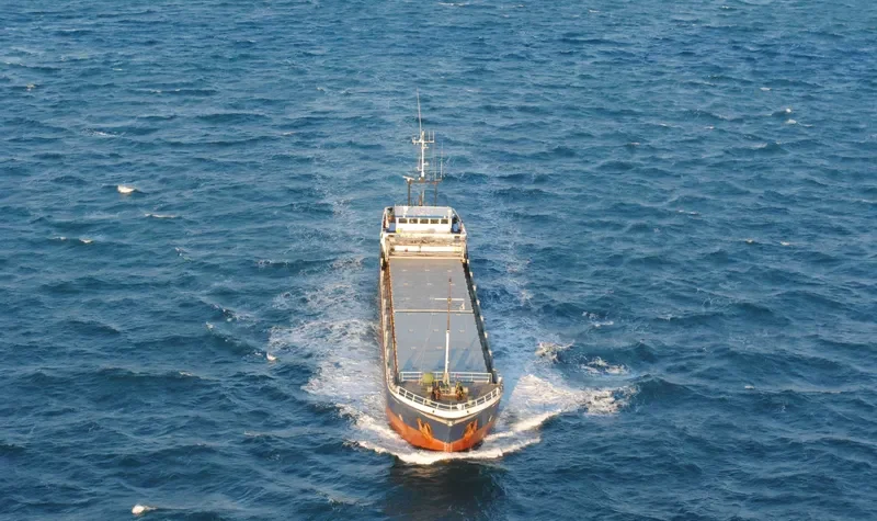 DAN VIKING General Cargo IMO 5238676 photo 2