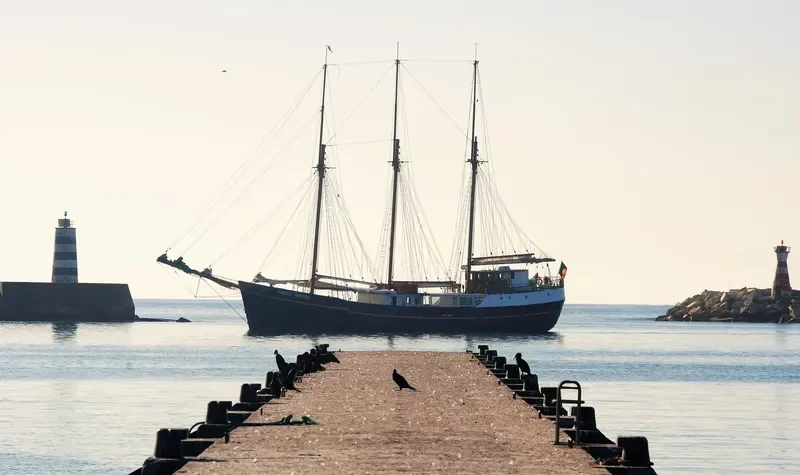 PRINCIPE PERFEITO General Cargo IMO 5239931