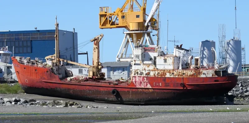 1999 01 General Cargo IMO 5241063