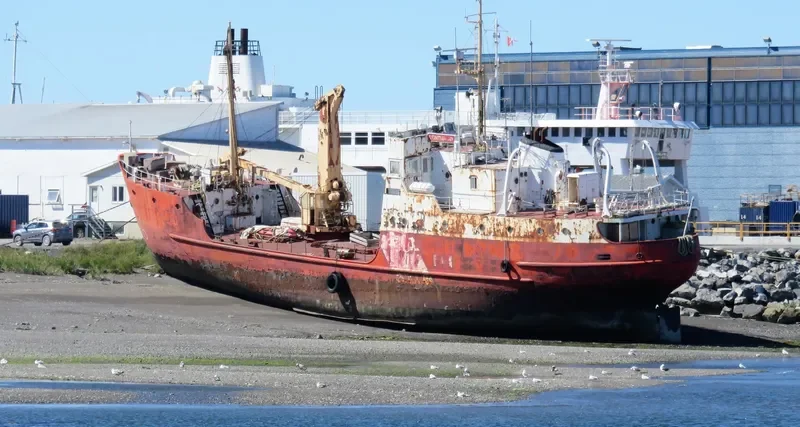1999 01 General Cargo IMO 5241063 photo 2