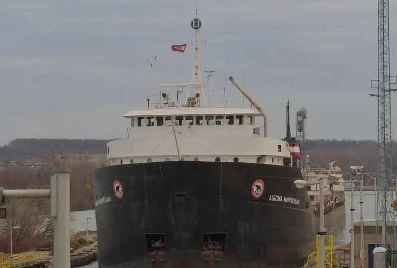 ALGOMA MONTREALAIS Bulk Carrier IMO 5241142 photo 6