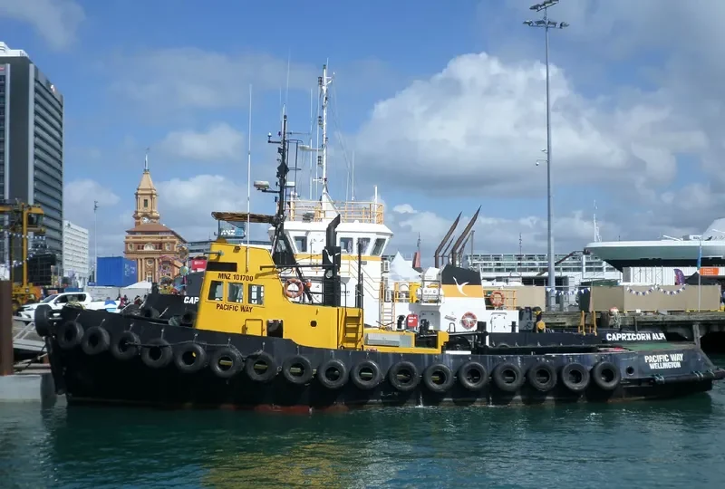 PACIFIC WAY General Cargo IMO 5242952