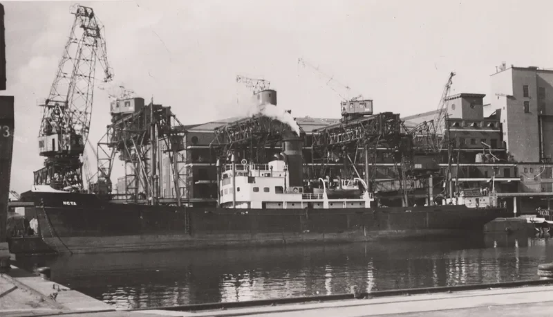 MSTA General Cargo IMO 5243231