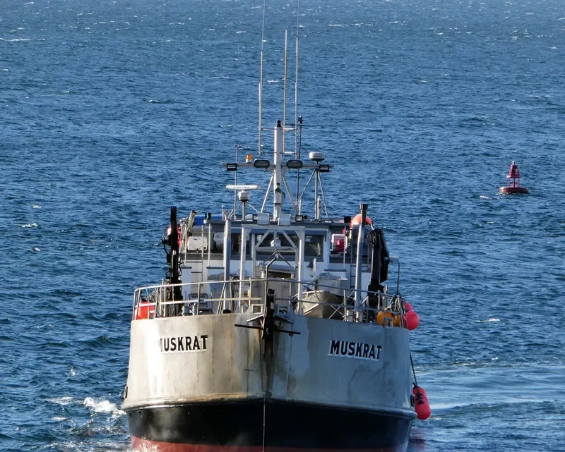 MUSKRAT General Cargo IMO 5244259