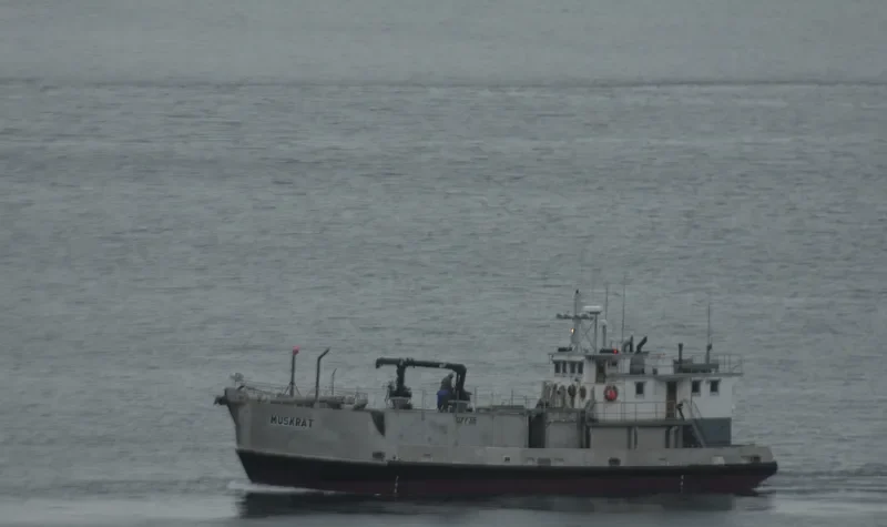 MUSKRAT General Cargo IMO 5244259 photo 6
