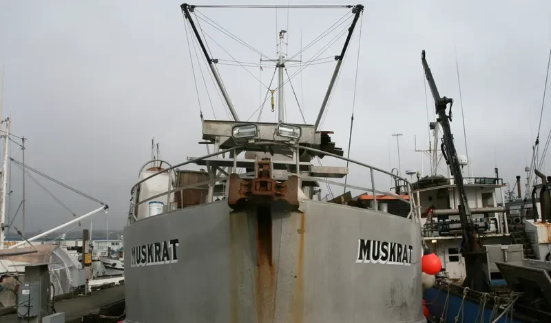 MUSKRAT General Cargo IMO 5244259 photo 8