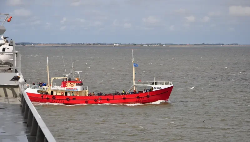 NESTOR General Cargo IMO 5249625