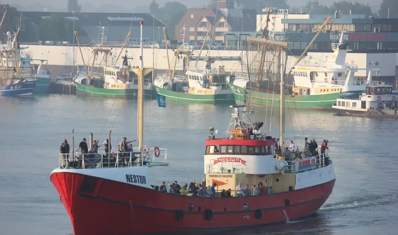 NESTOR General Cargo IMO 5249625 photo 4