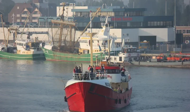 NESTOR General Cargo IMO 5249625 photo 5