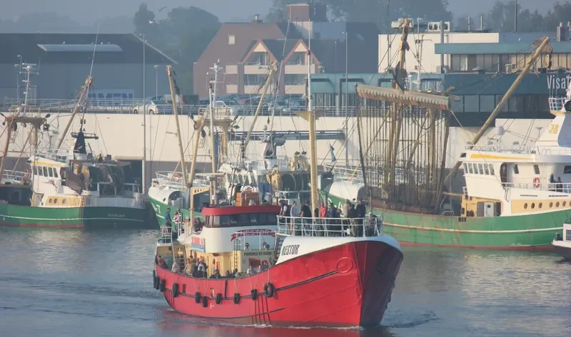 NESTOR General Cargo IMO 5249625 photo 6