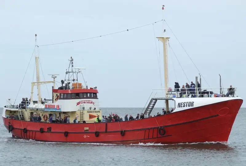 NESTOR General Cargo IMO 5249625 photo 9