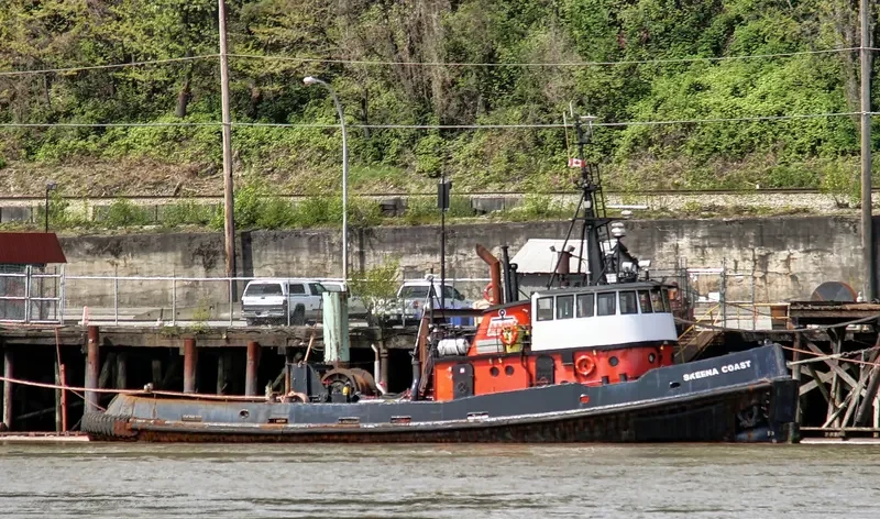 SKEENA COAST General Cargo IMO 5249871 photo 10
