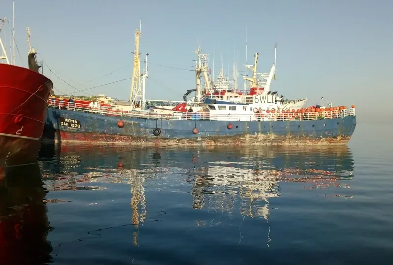 VEMA General Cargo IMO 5251408 photo 4
