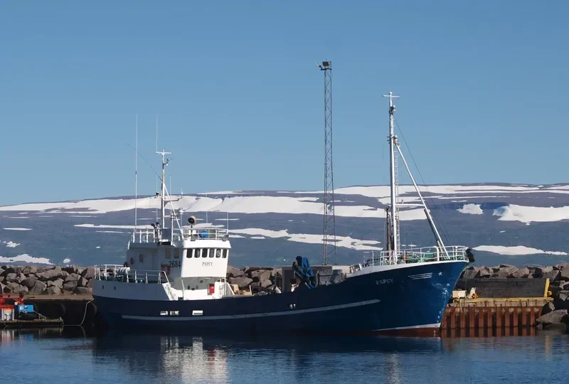 PAPEY General Cargo IMO 5259591