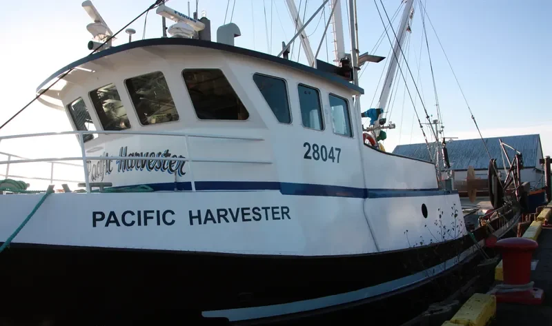 PACIFIC HARVESTER General Cargo IMO 5268231 photo 7