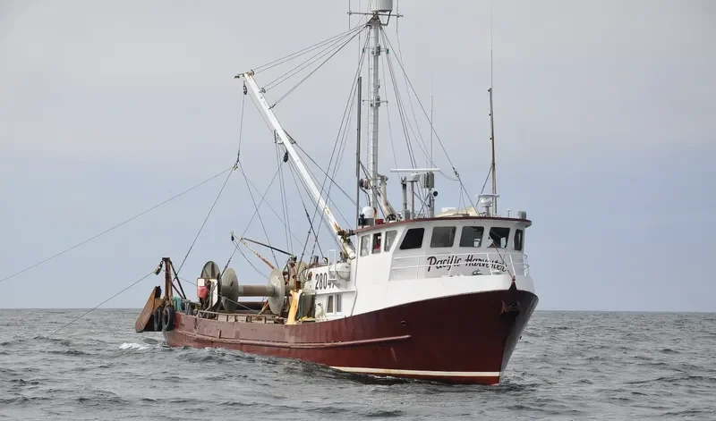 PACIFIC HARVESTER General Cargo IMO 5268231 photo 9