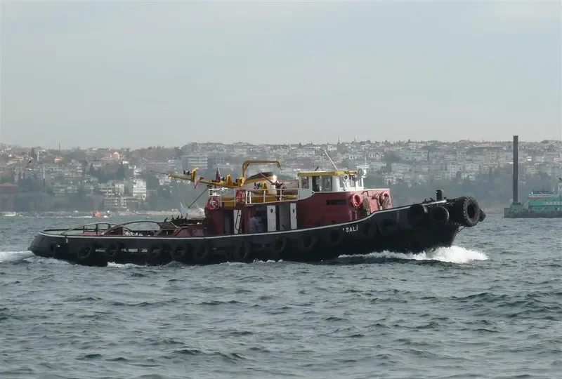 PASALIMANI General Cargo IMO 5271135