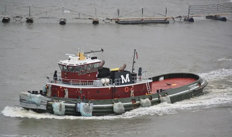 PATRICIA MORAN General Cargo IMO 5271771 photo 3