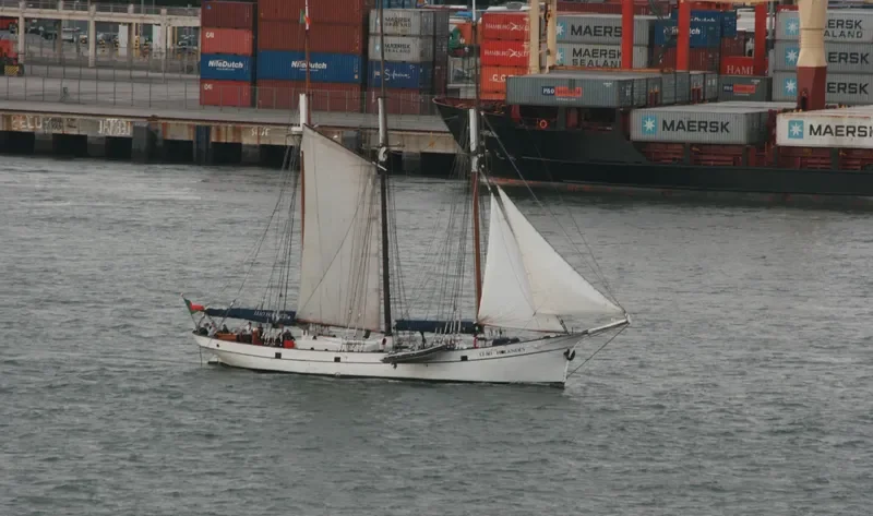 LEAO HOLANDES General Cargo IMO 5276082 photo 4